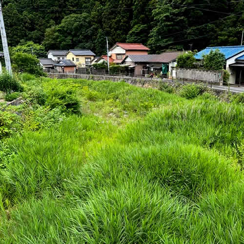 河川除草工事